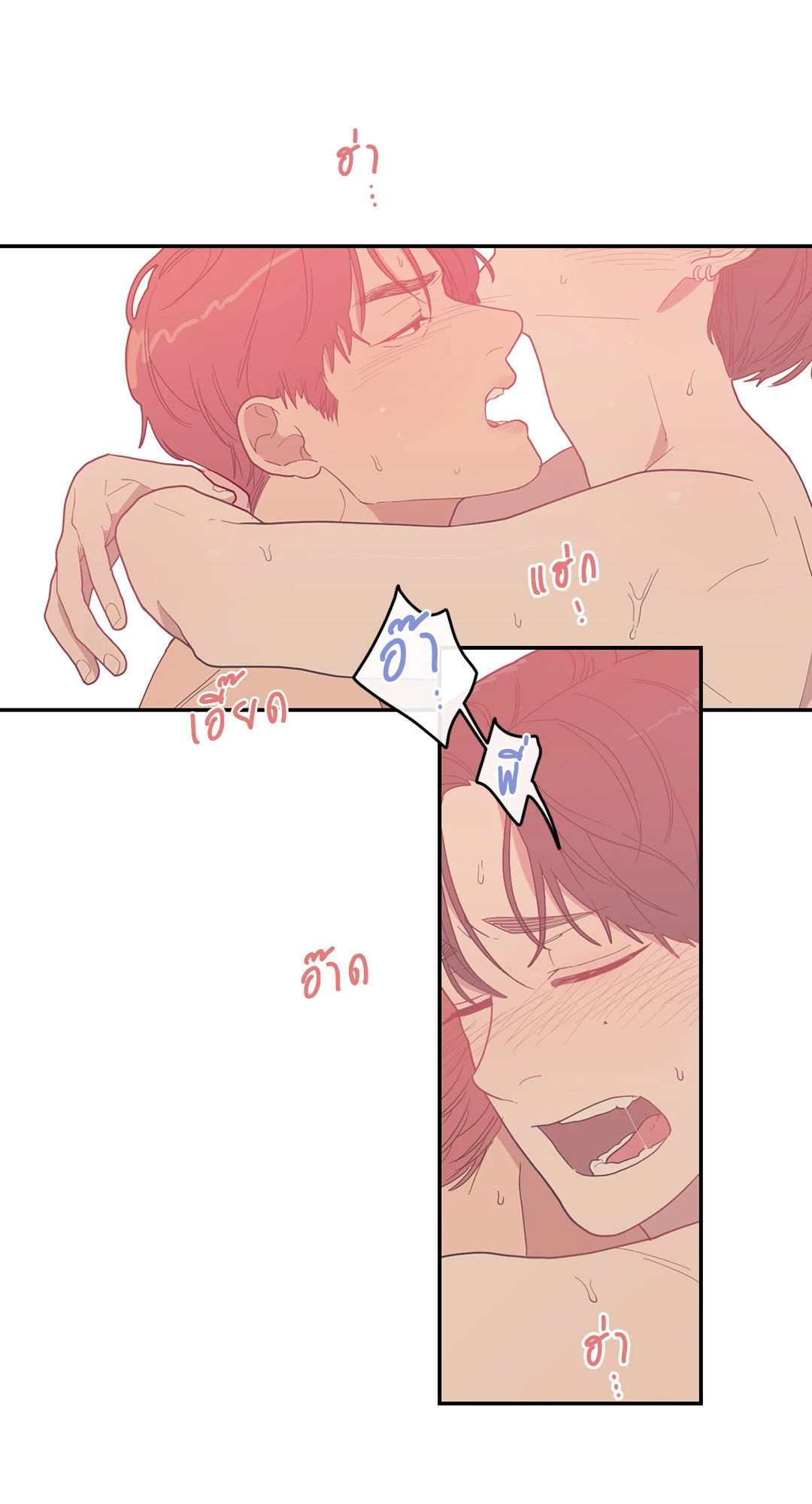 หน้า 54
