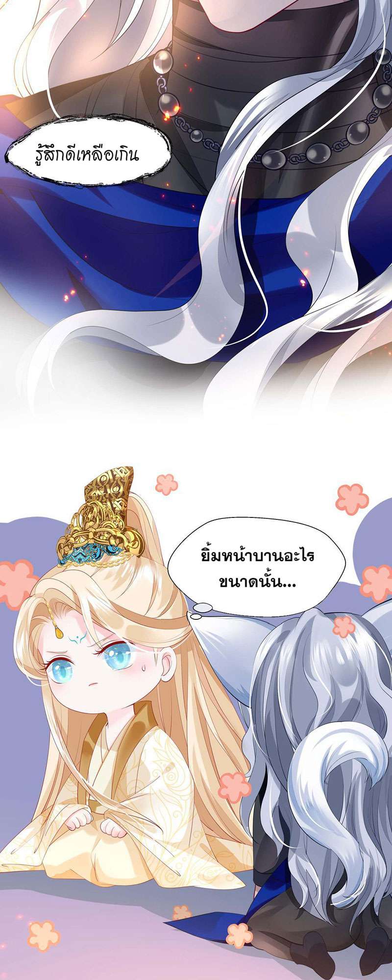 หน้า 43