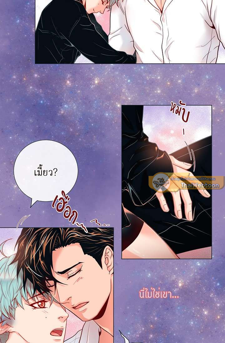 หน้า 31