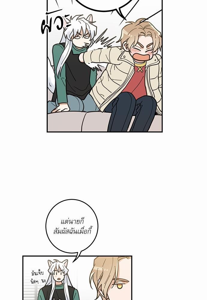 หน้า 51