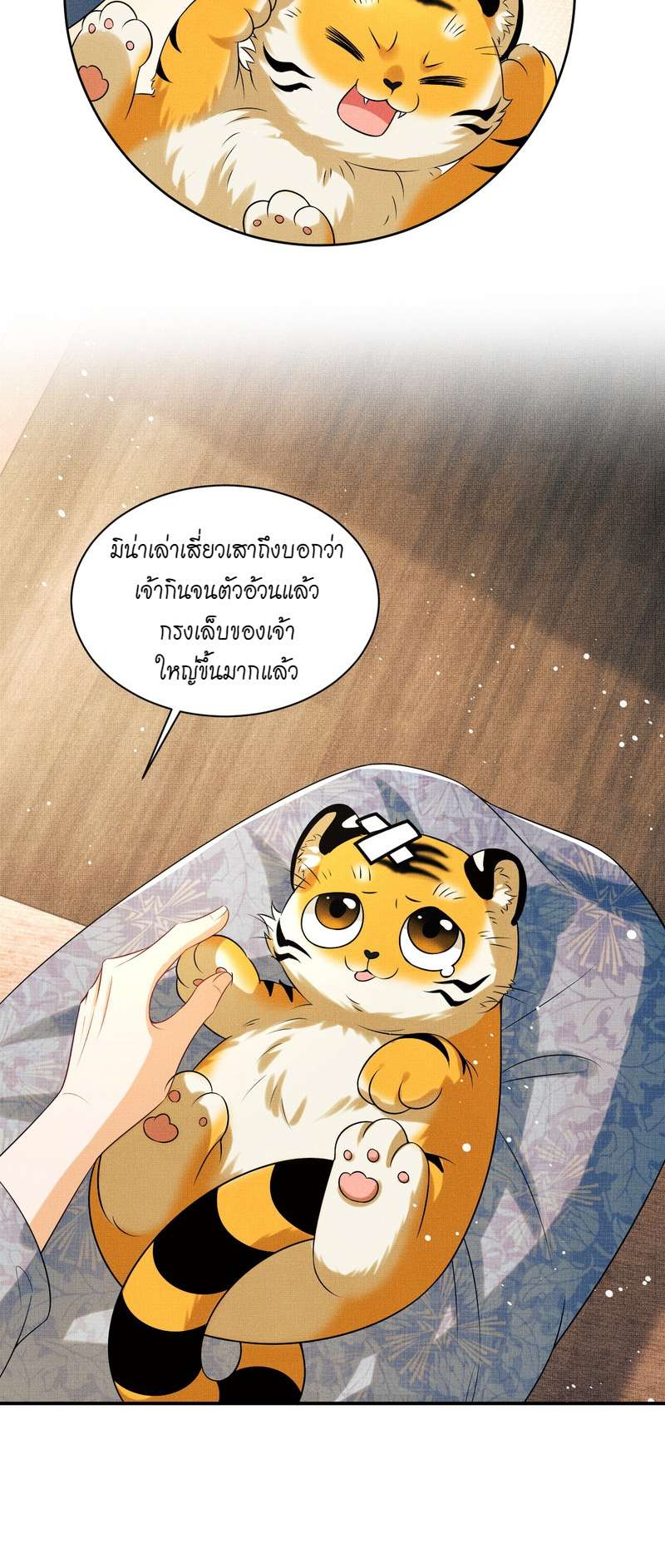 หน้า 7