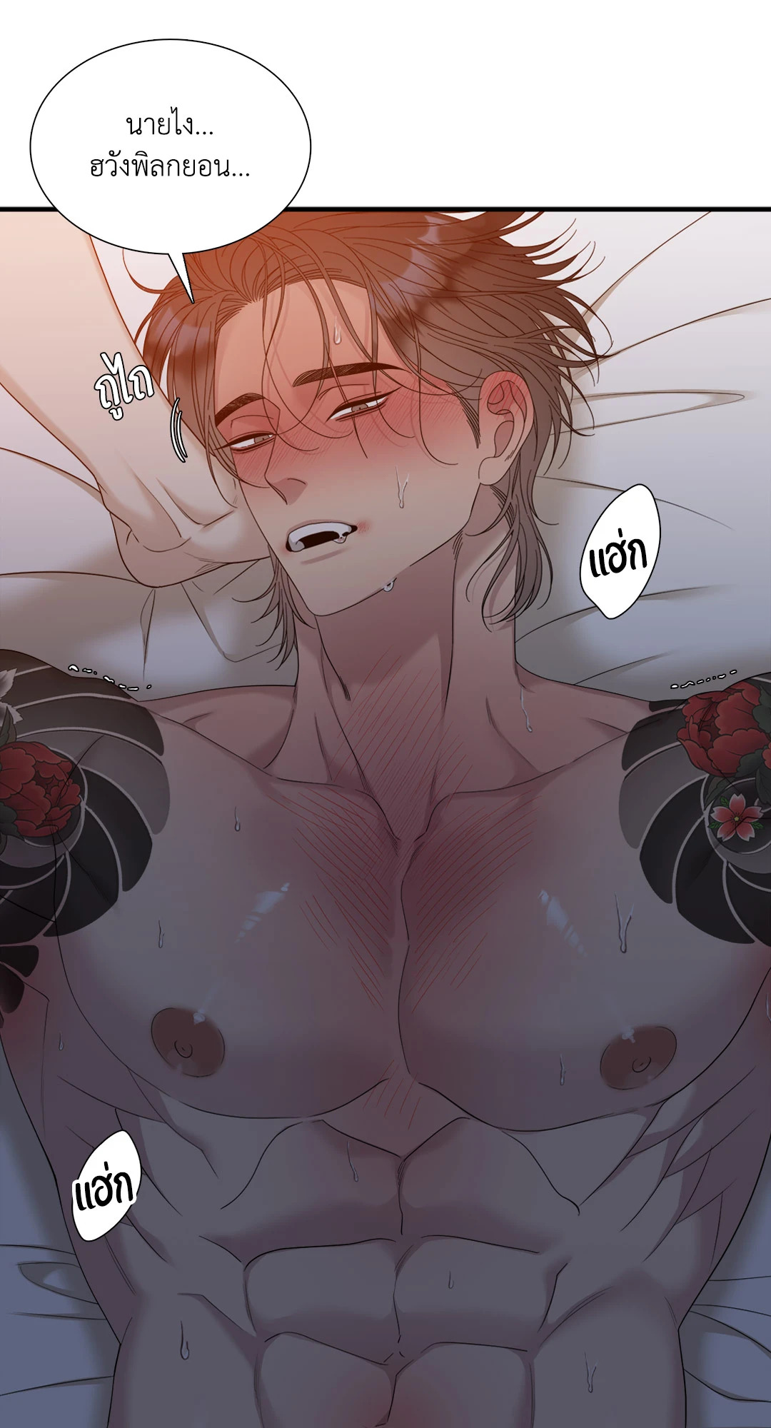 หน้า 29