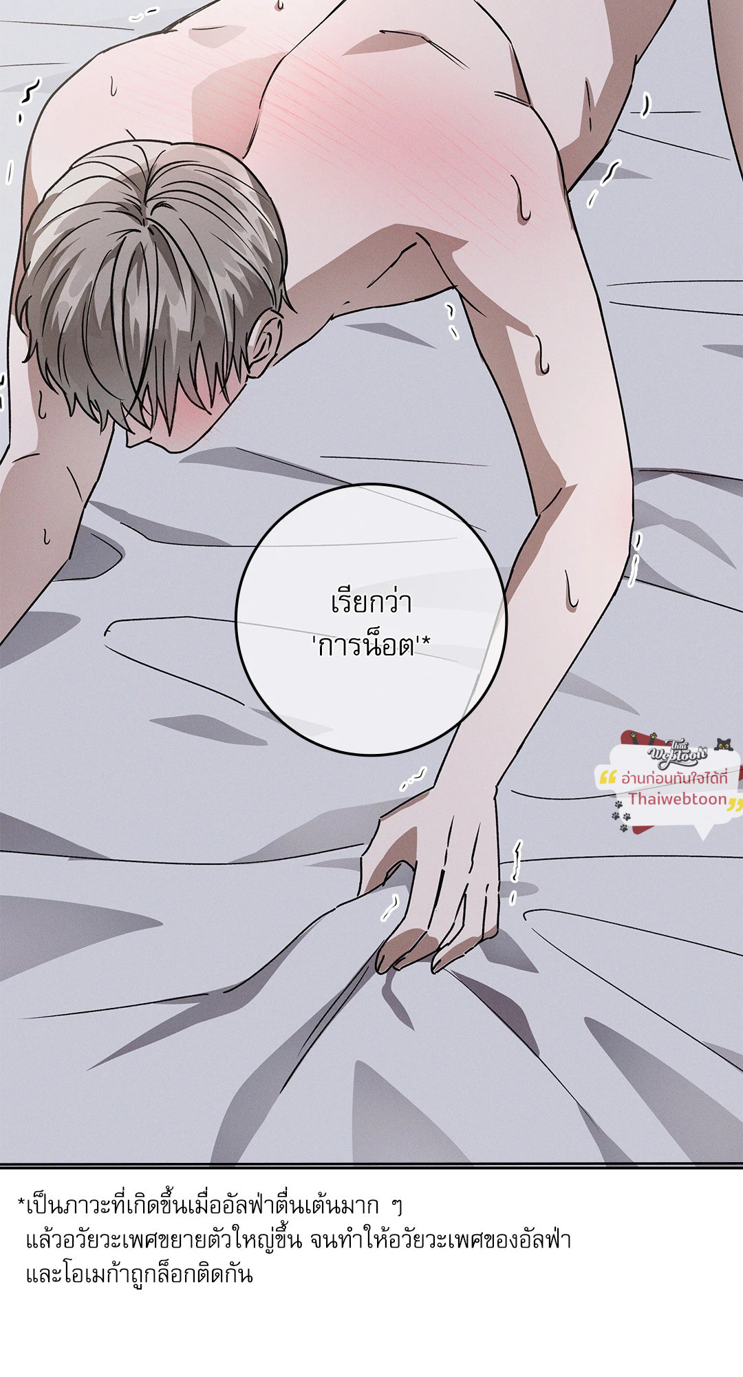 หน้า 101