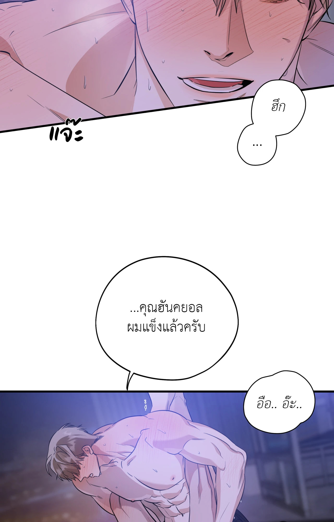 หน้า 43