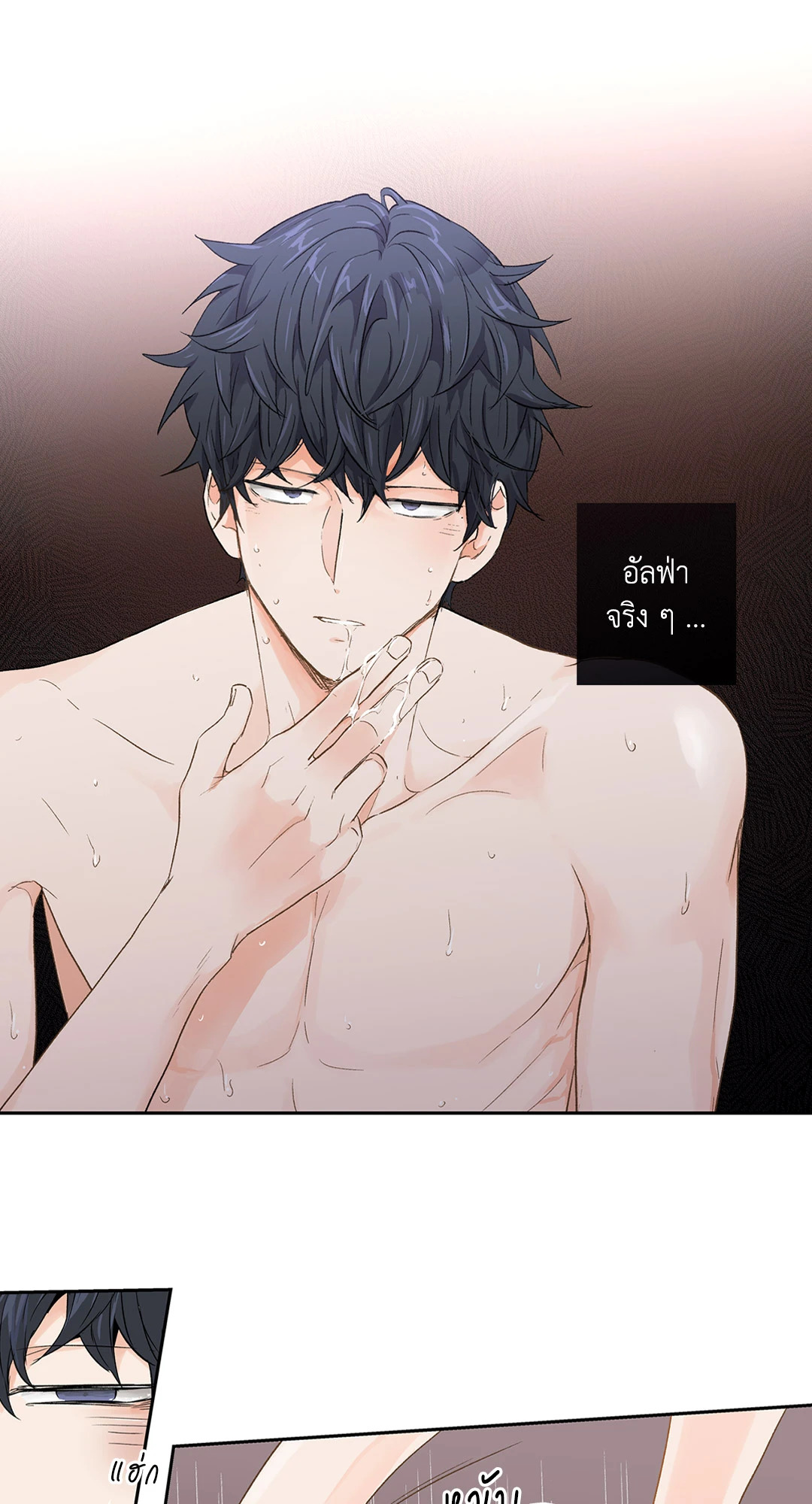 หน้า 29