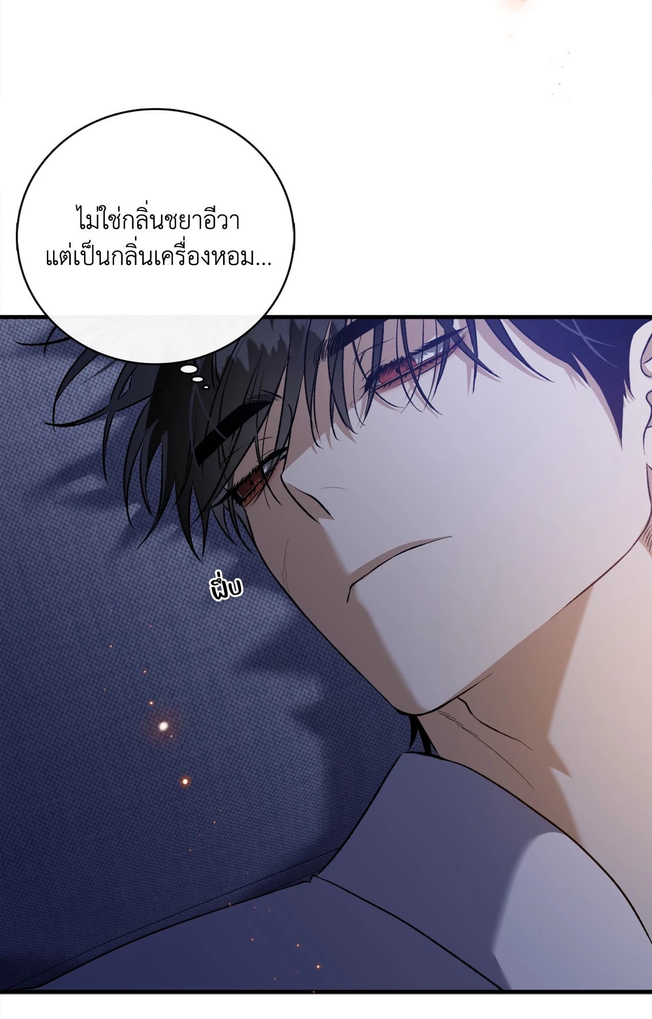 หน้า 102