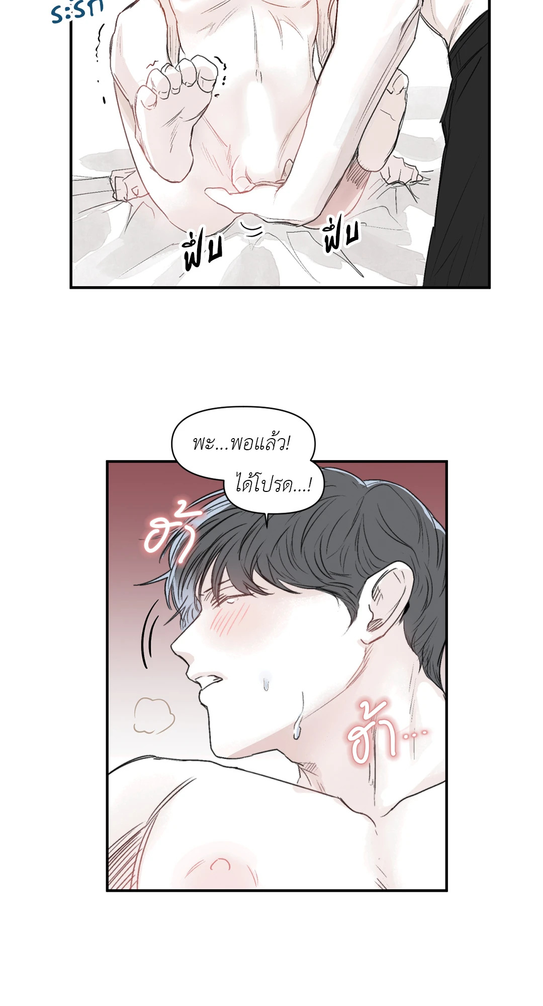 หน้า 43