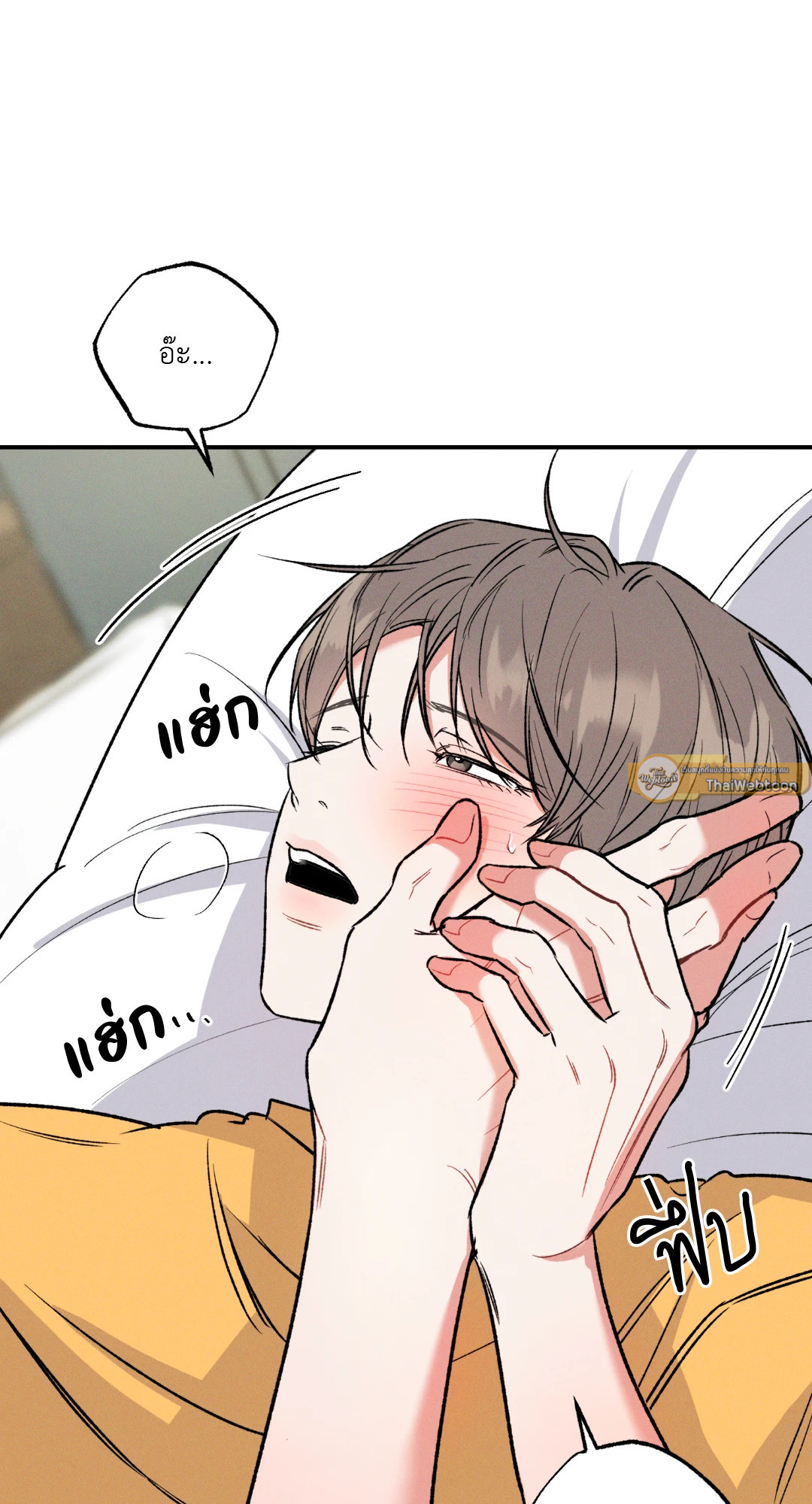 หน้า 43