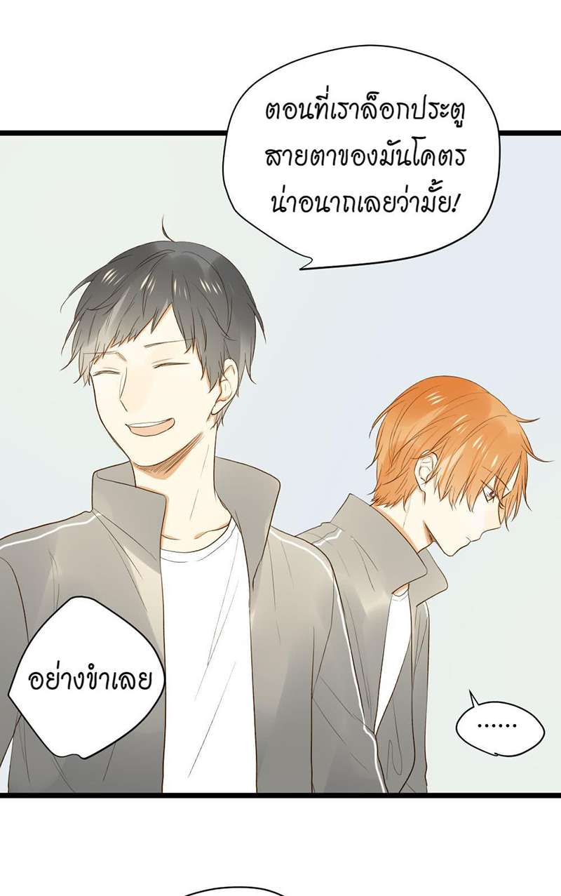 หน้า 41