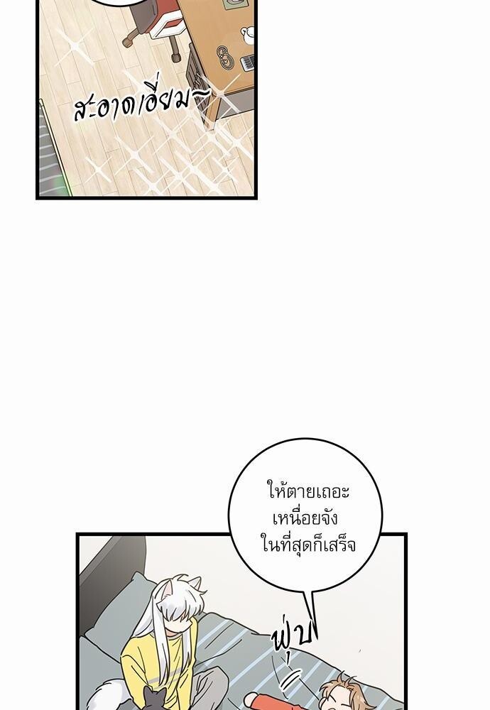 มารักกับเหมียวมั้ยครับ | My One and Only Cat ตอนที่ 27 - รูปที่ 2