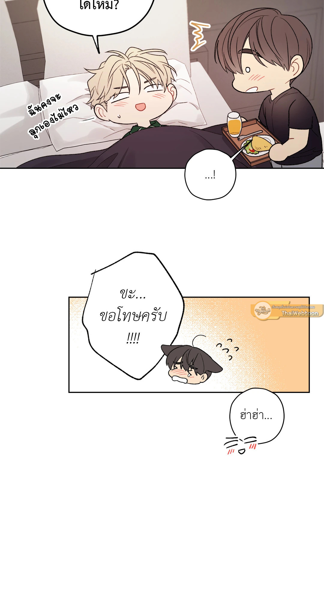 หน้า 30