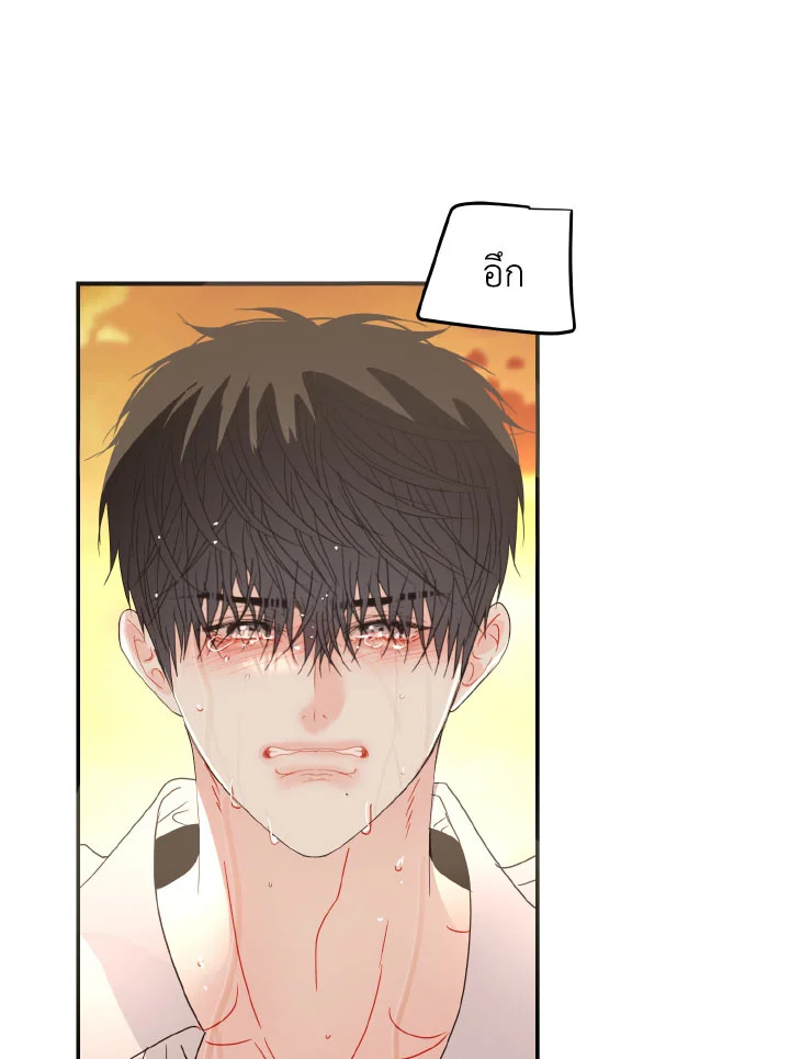 หน้า 81
