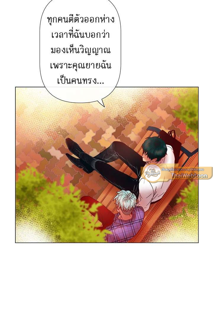 หน้า 31