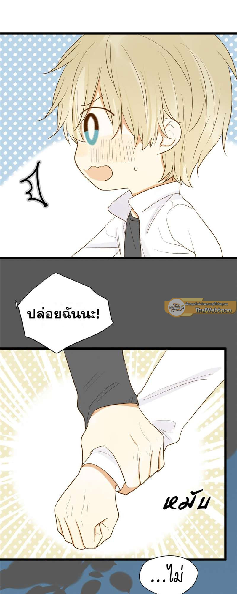 หน้า 30