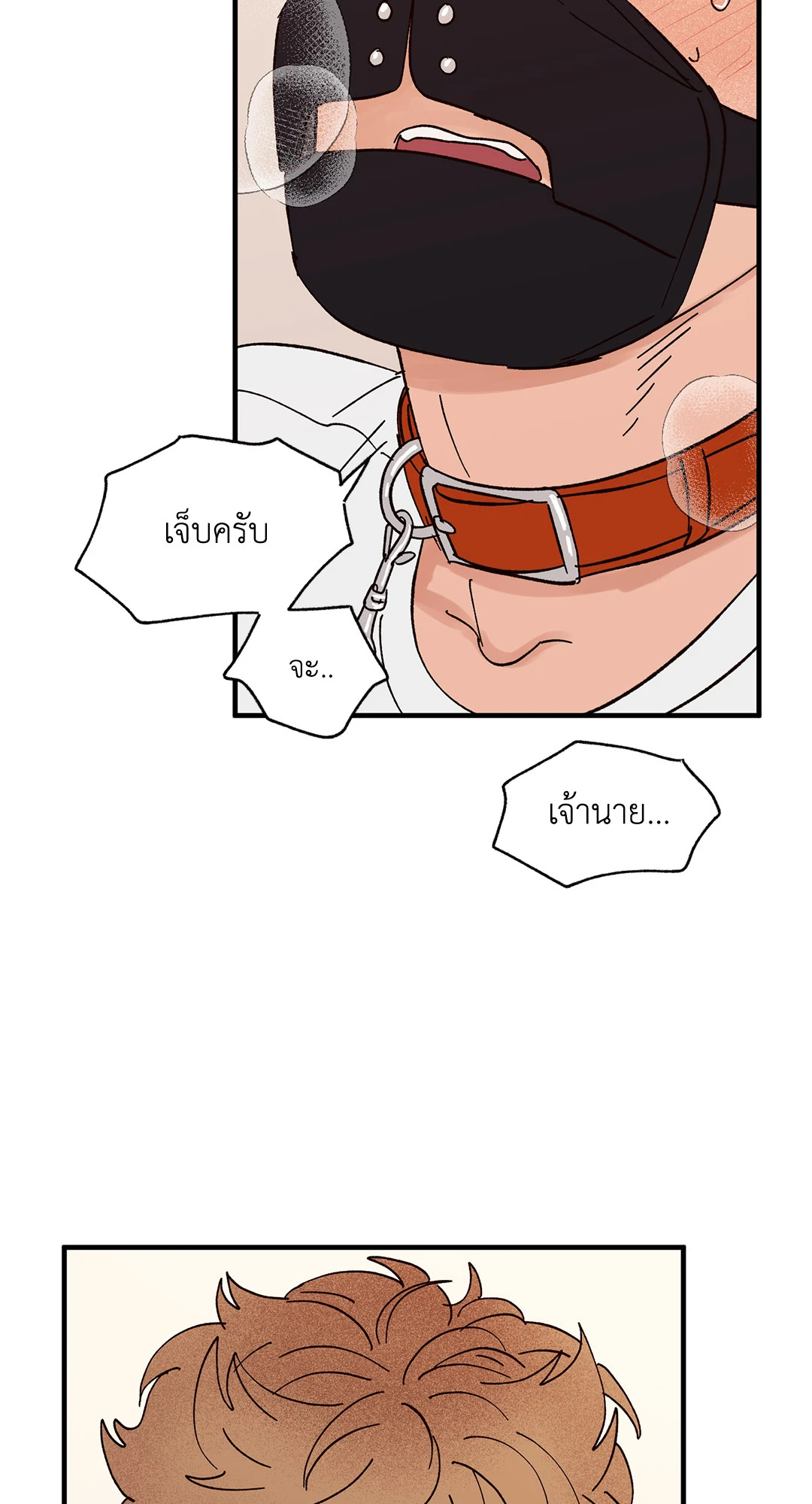 หน้า 43