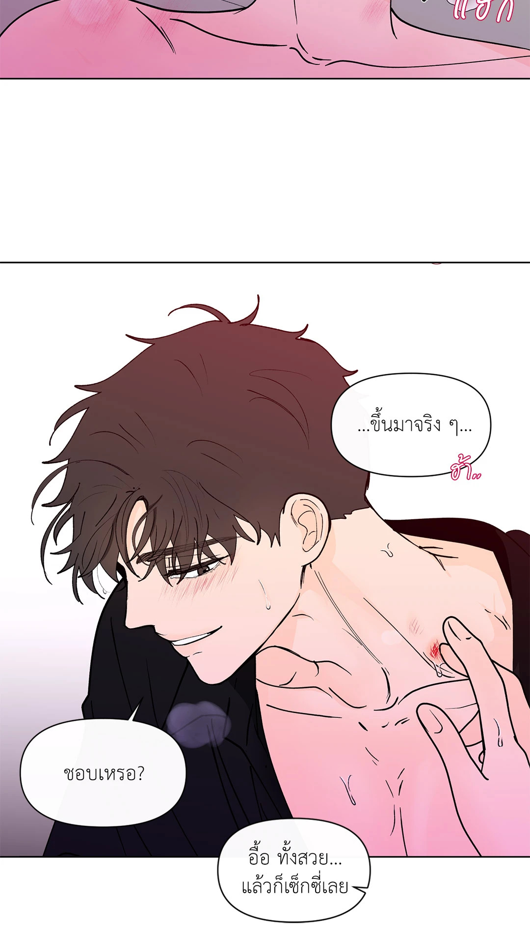 หน้า 43