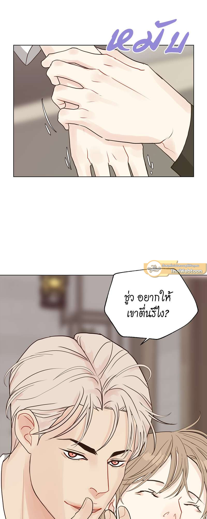 หน้า 41