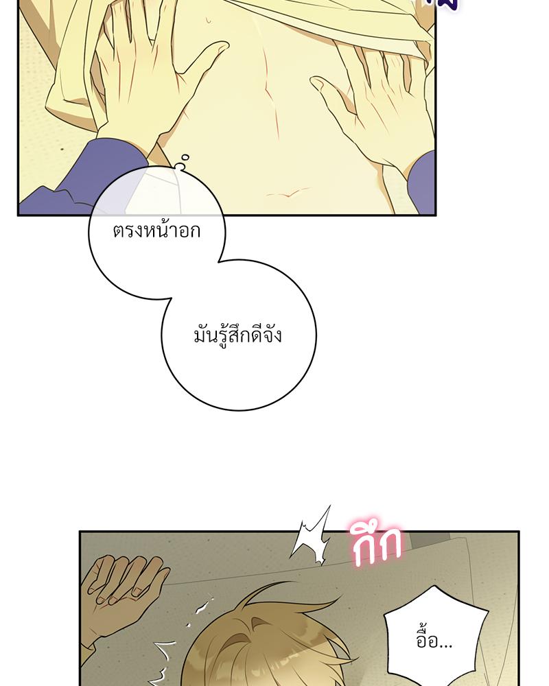 หน้า 21