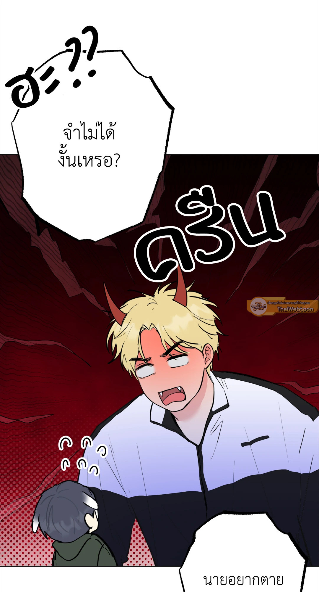 หน้า 30