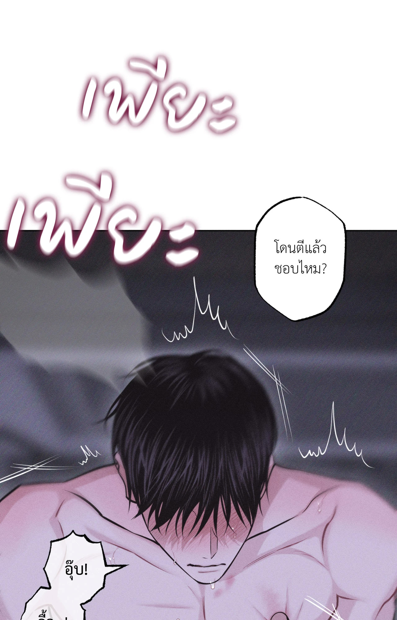 หน้า 101