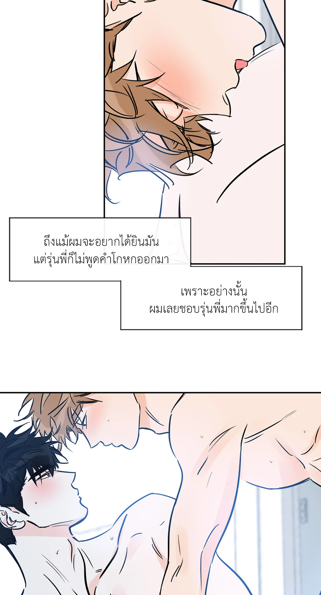 หน้า 43