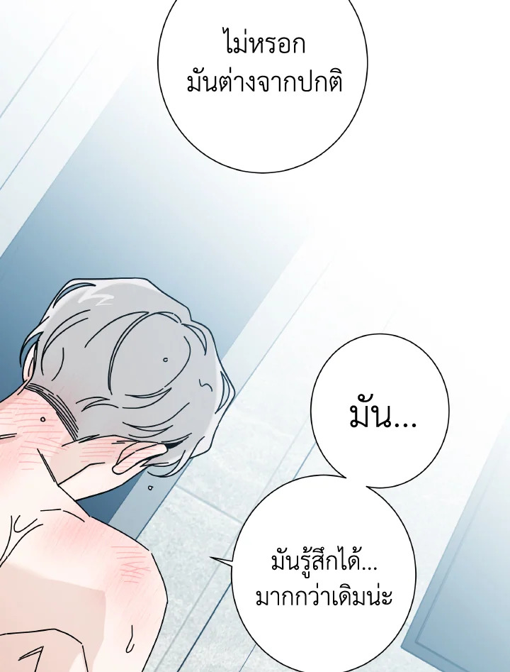 หน้า 95