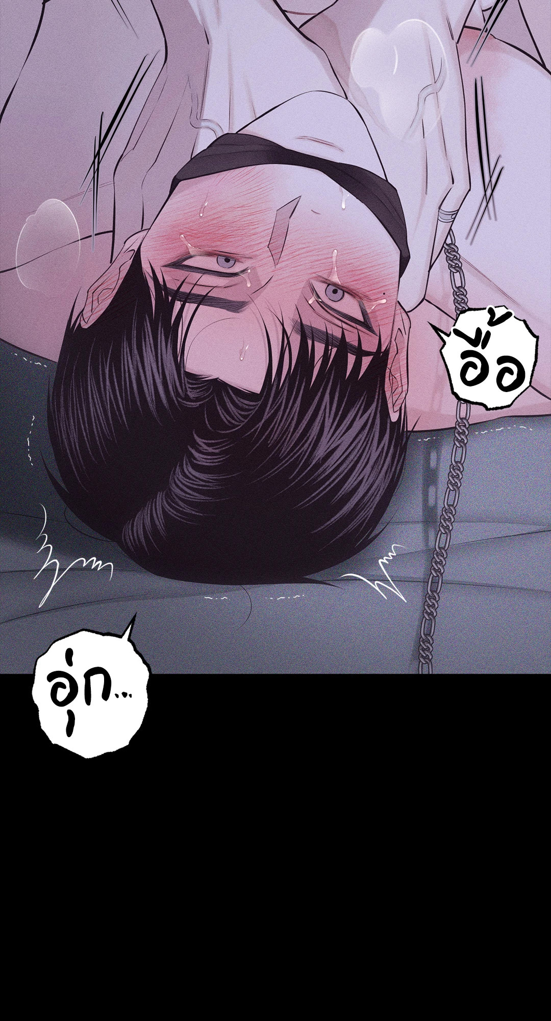 หน้า 43