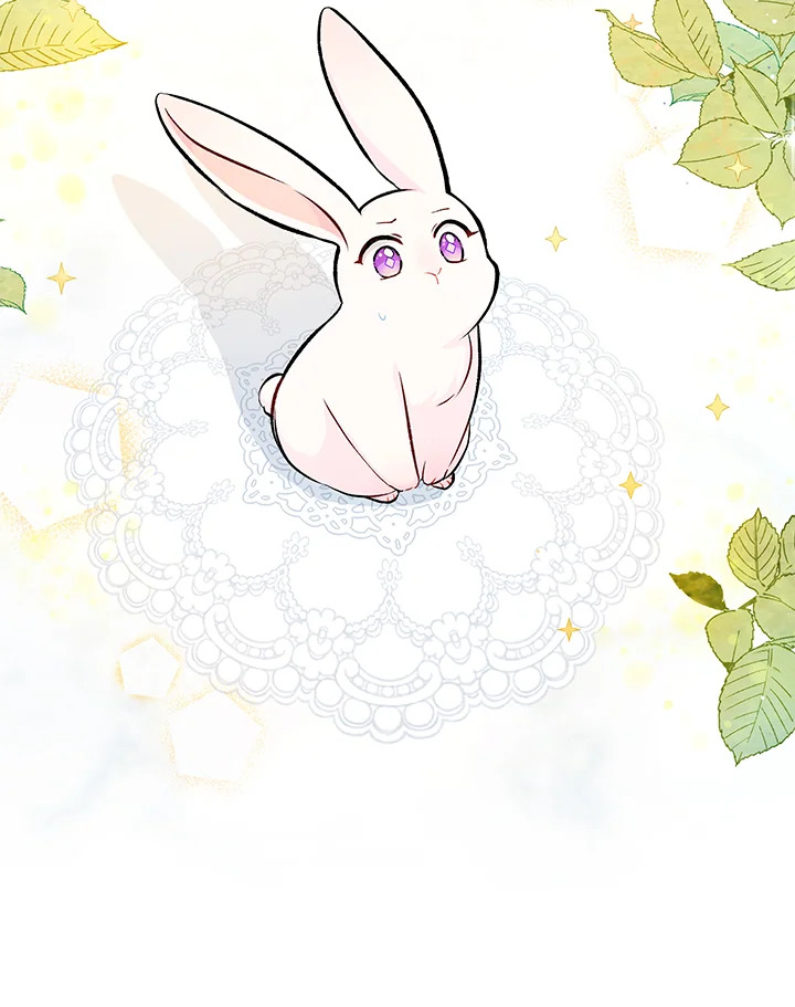 ภาวะพึ่งพาของเสือดำตัวร้ายกับกระต่ายตัวจิ๋ว | The Symbiotic Relationship Between the Rabbit and the Black Panther ตอนที่ 5 - รูปที่ 2