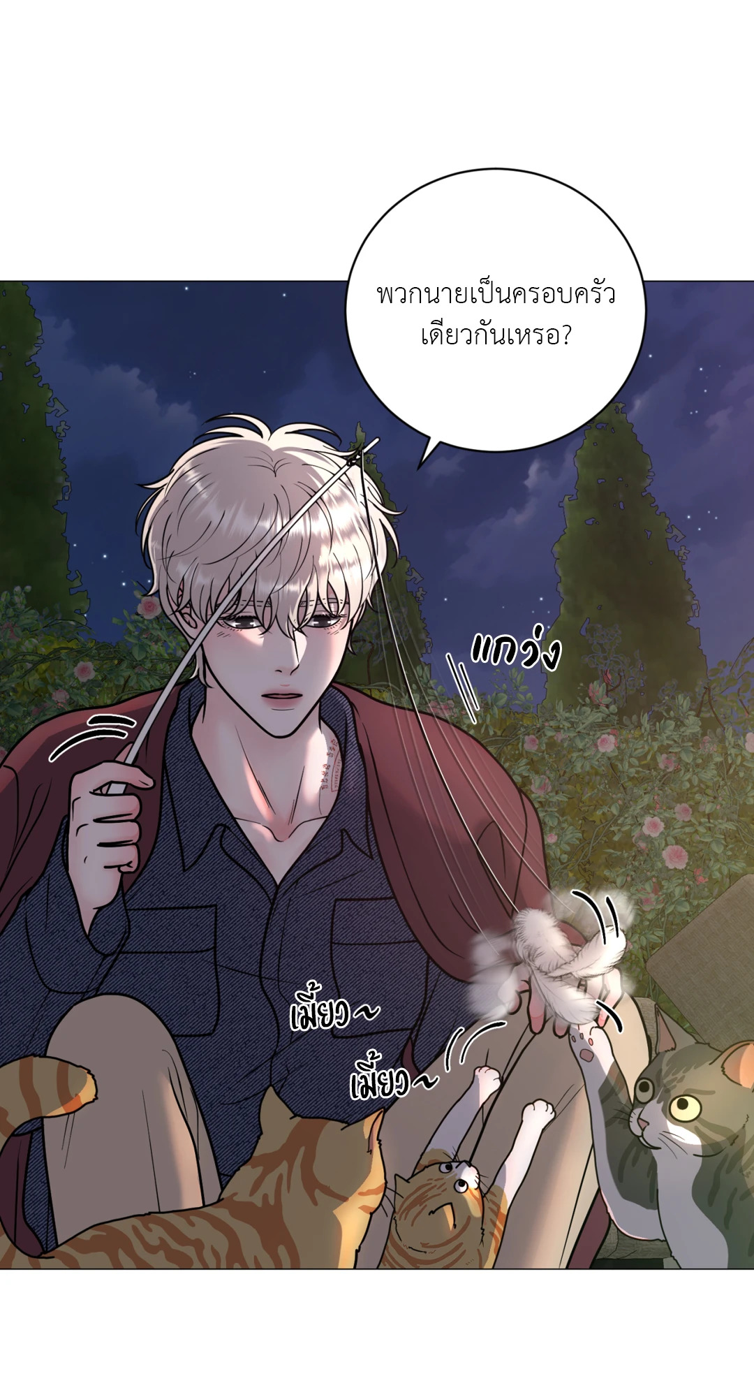 หน้า 29
