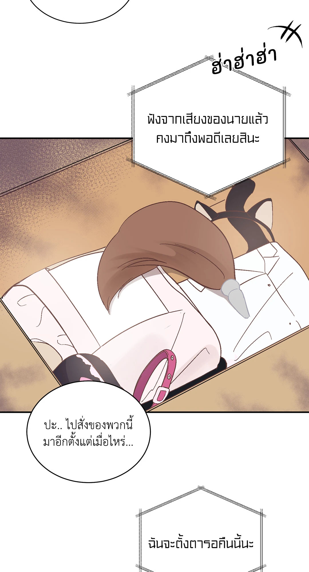 หน้า 53