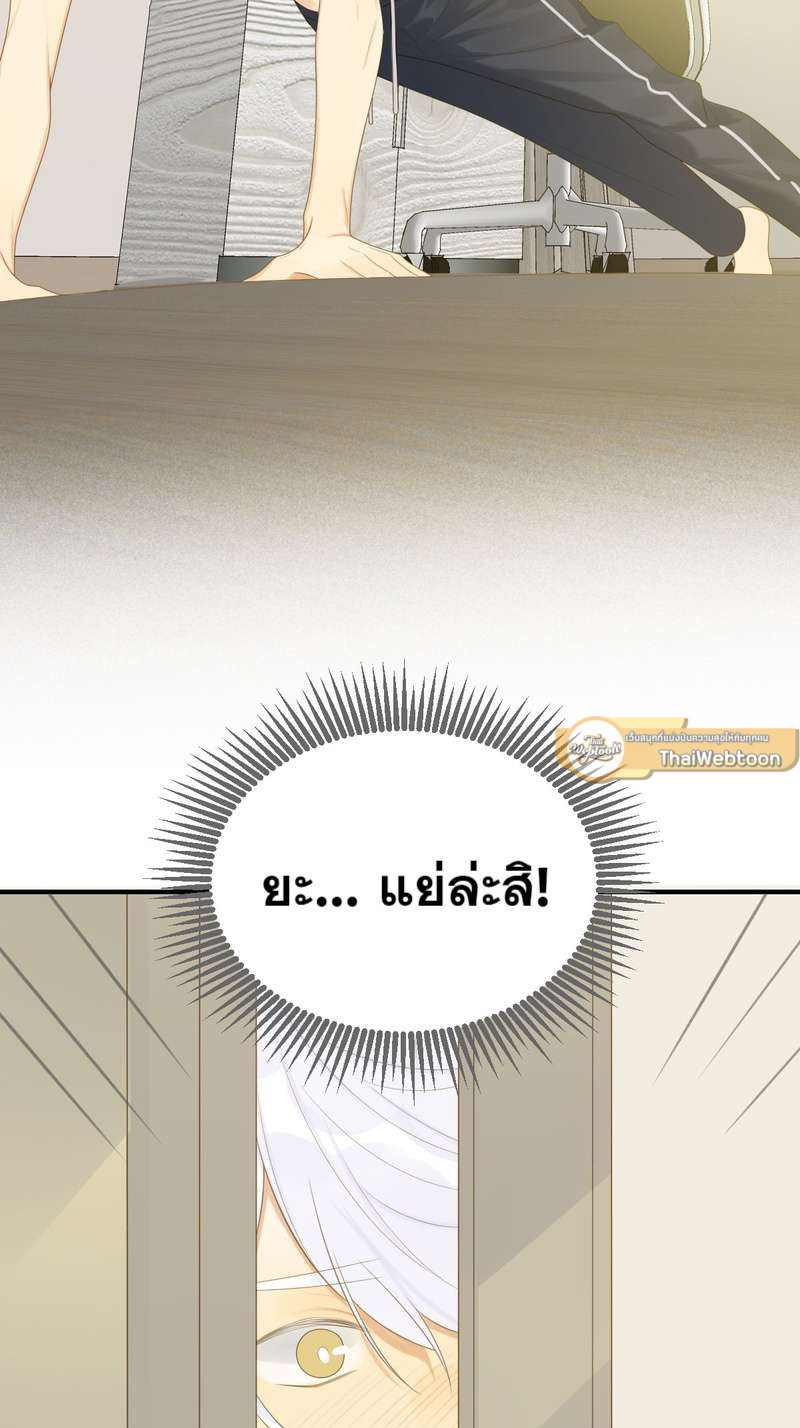 หน้า 51