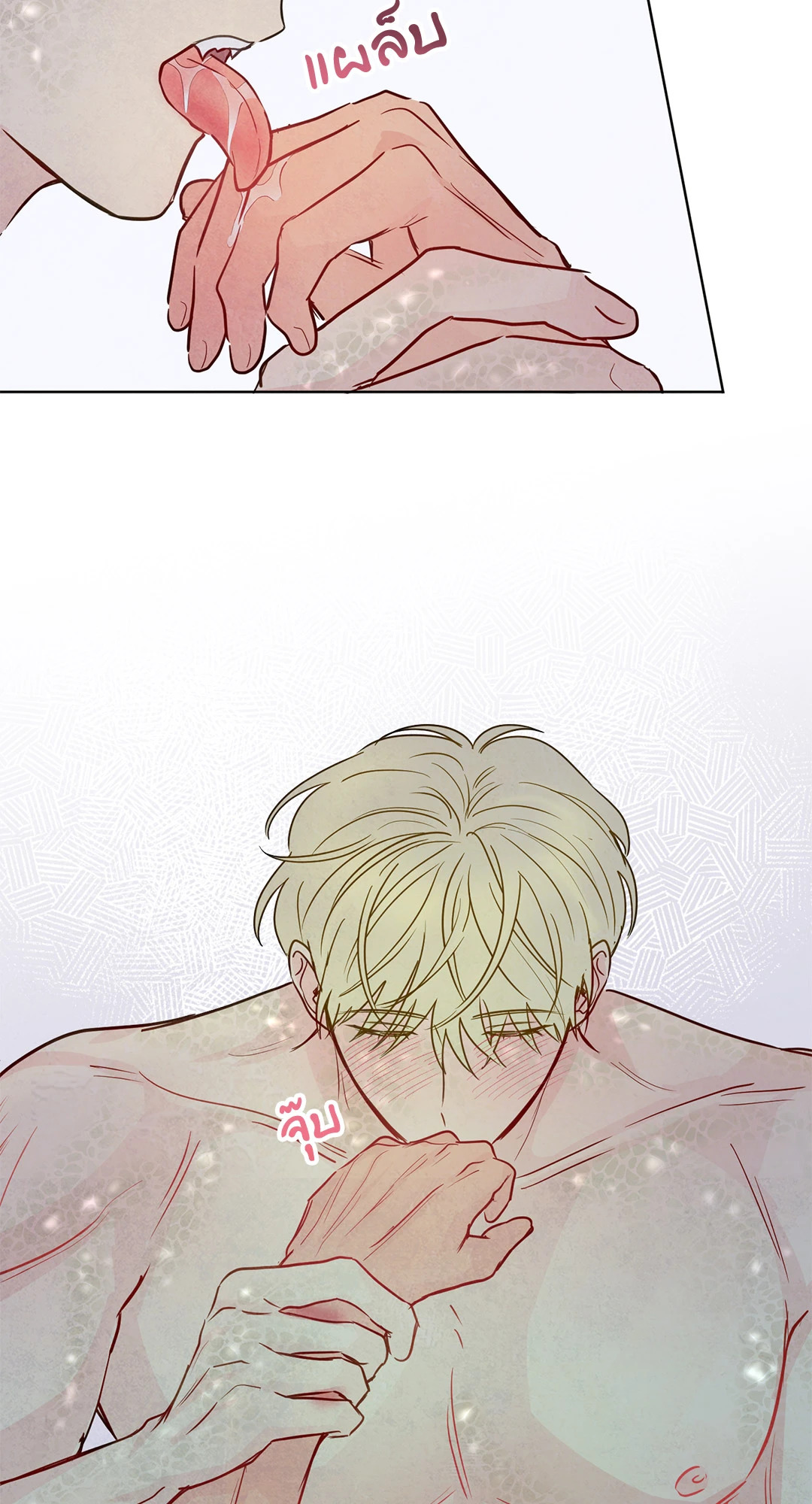 หน้า 41