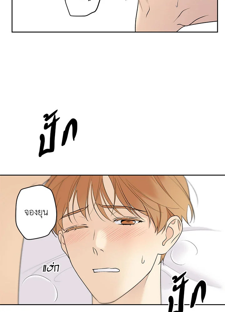 หน้า 66