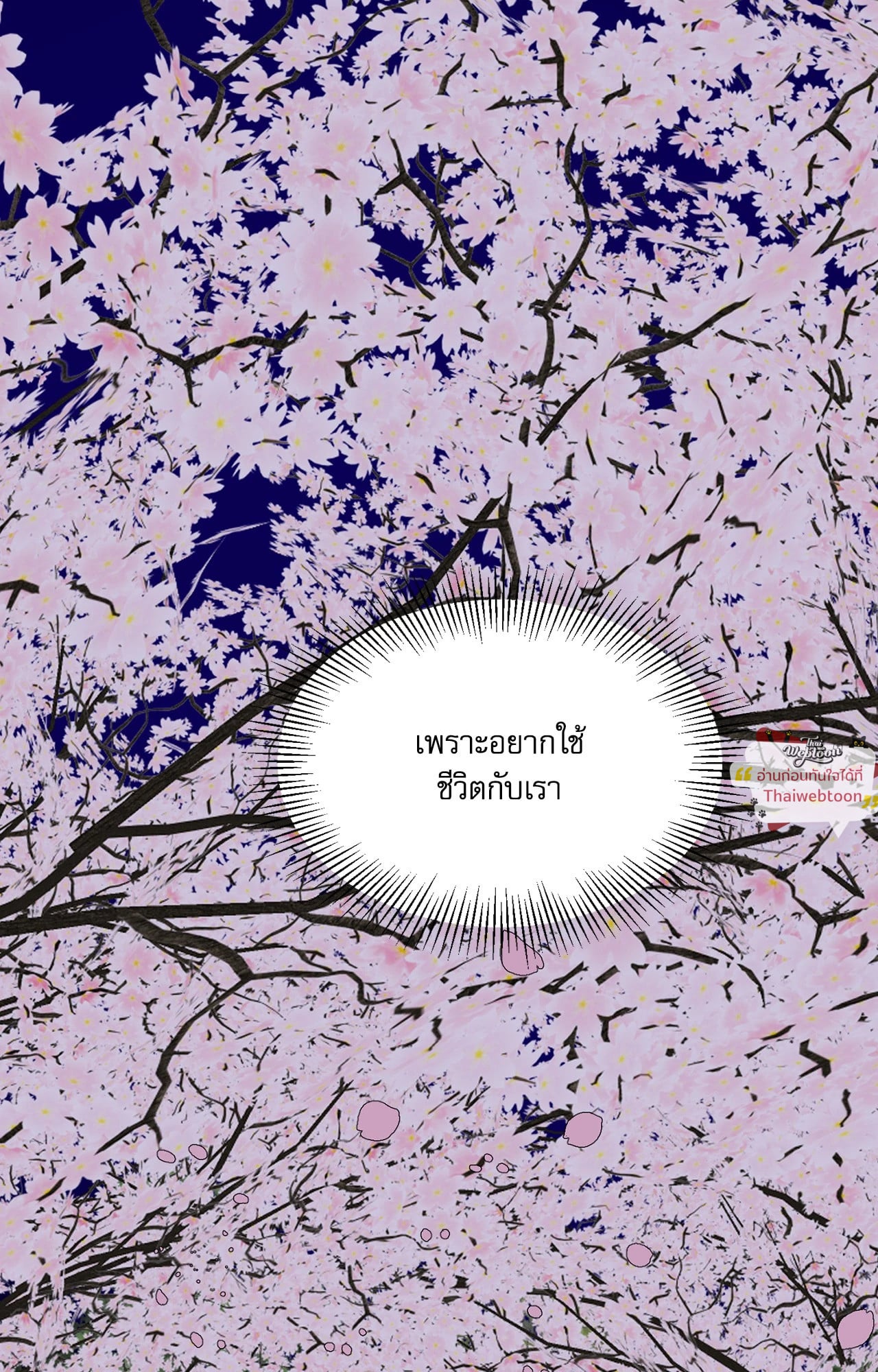 หน้า 117