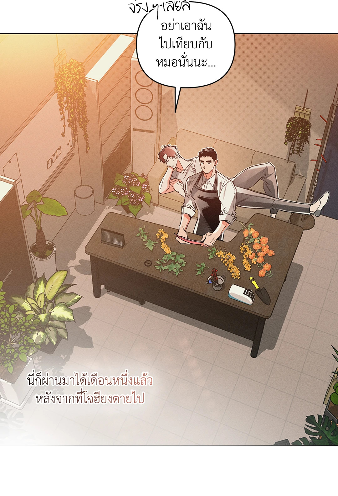 หน้า 29