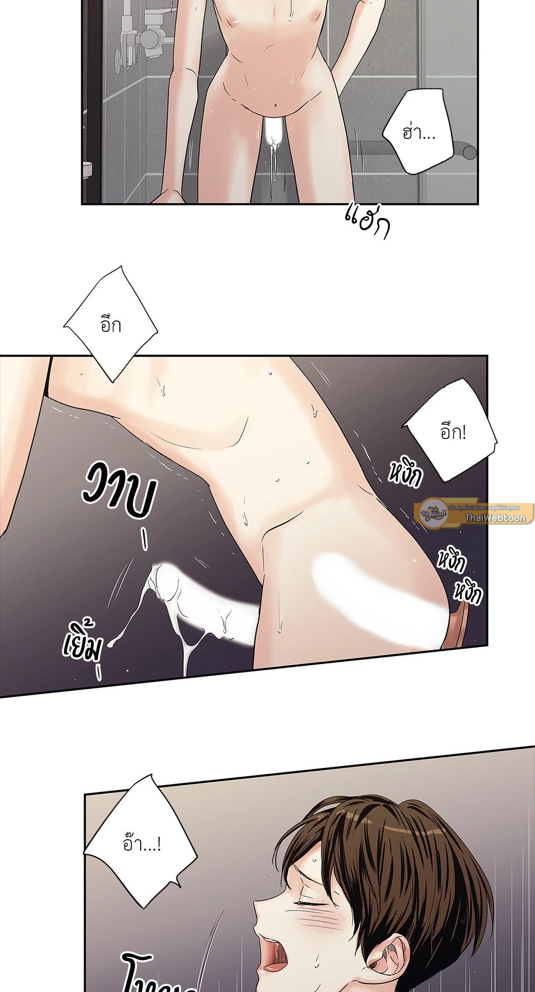 หน้า 43
