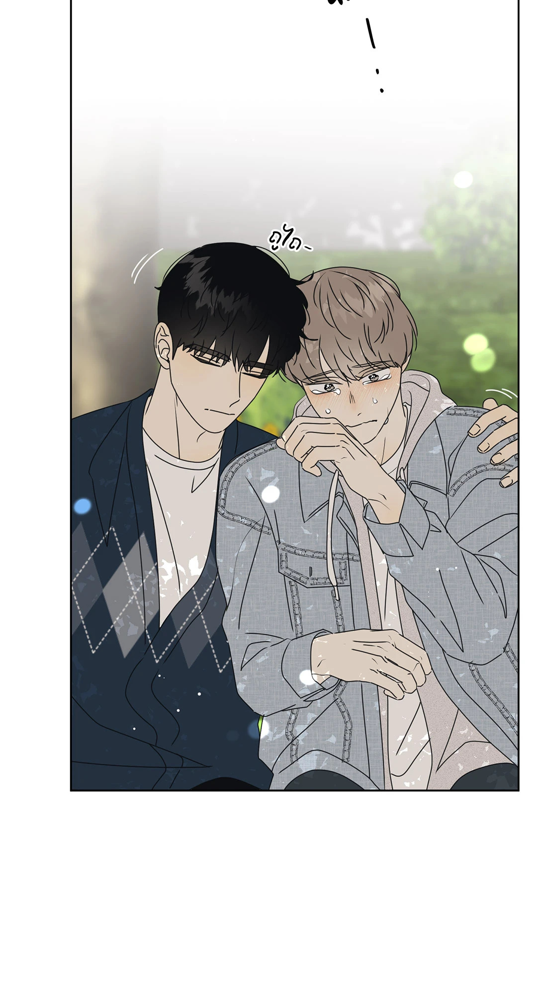 หน้า 41