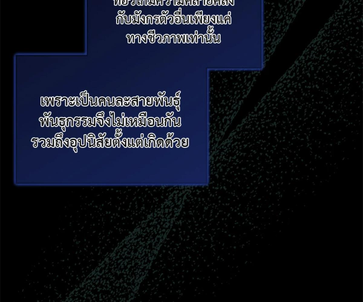 หน้า 117