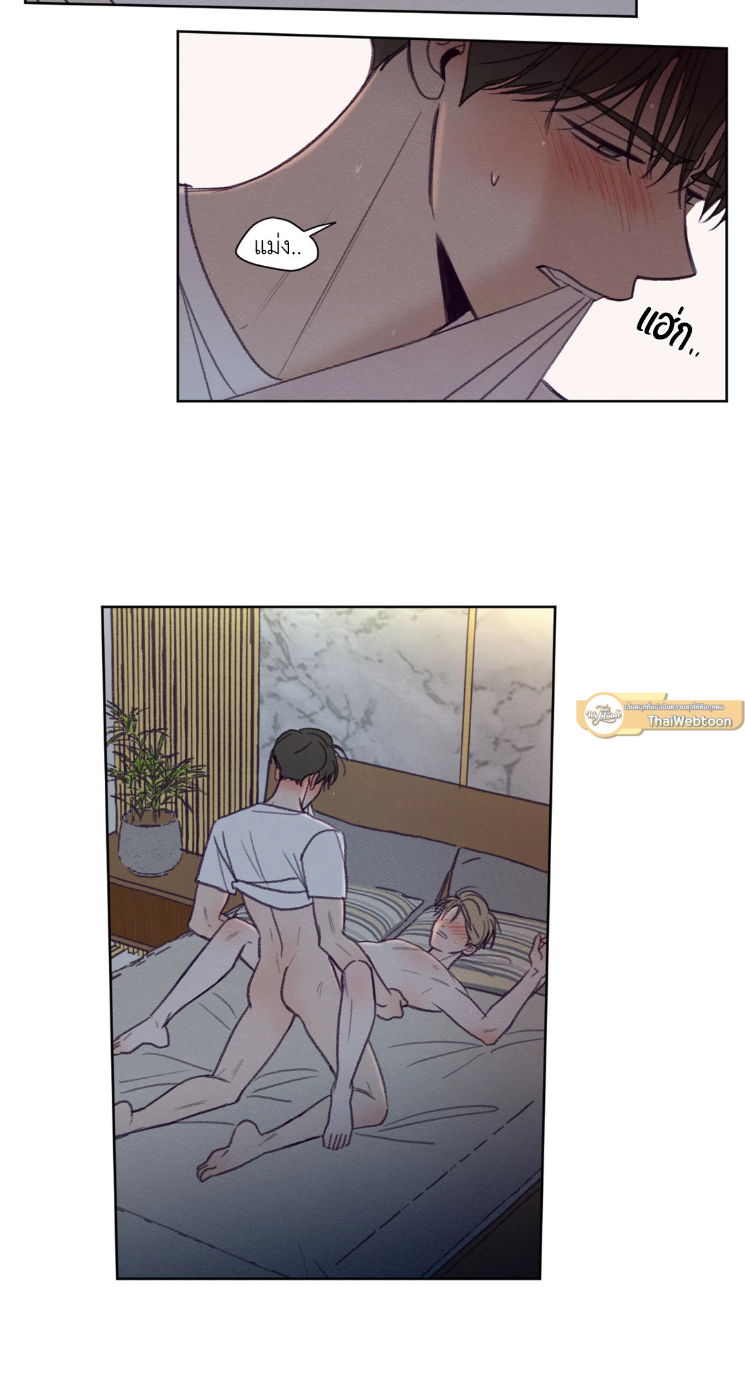 หน้า 37