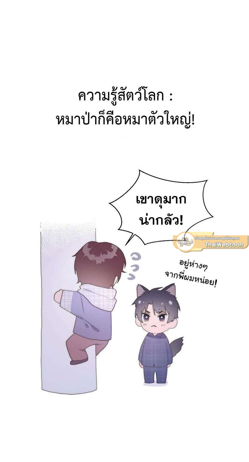 หน้า 41