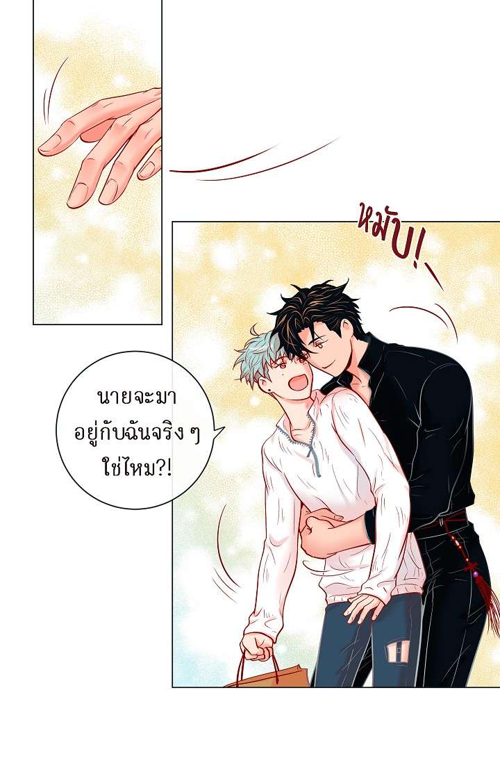 หน้า 41