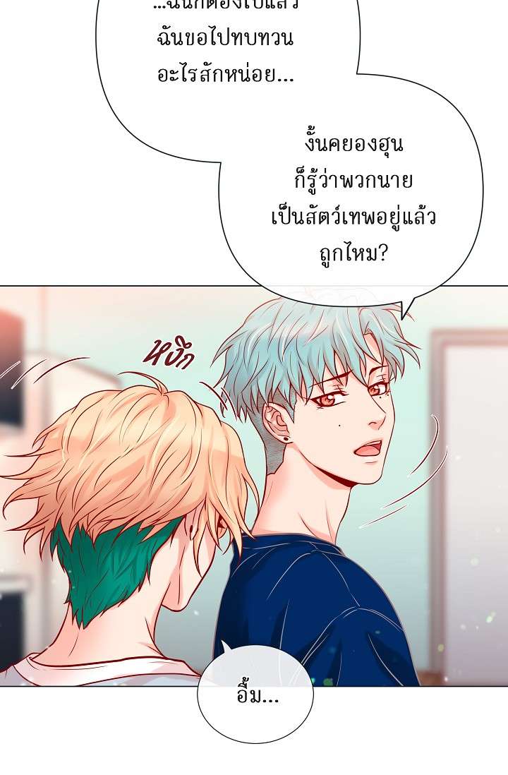 หน้า 41