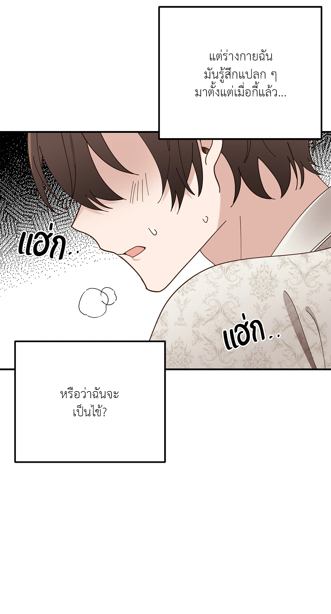 หน้า 42