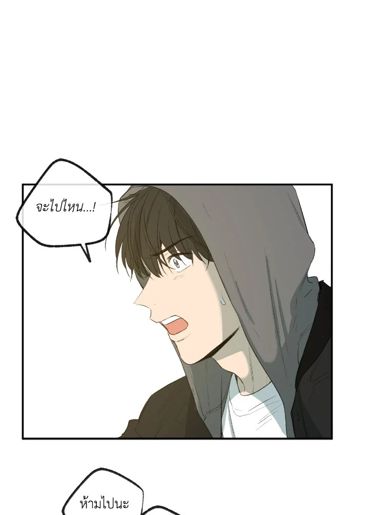 ความเห็นใจบันดาลให้ใกล้กัน | Form of Sympathy ตอนที่ 75.52 - รูปที่ 2