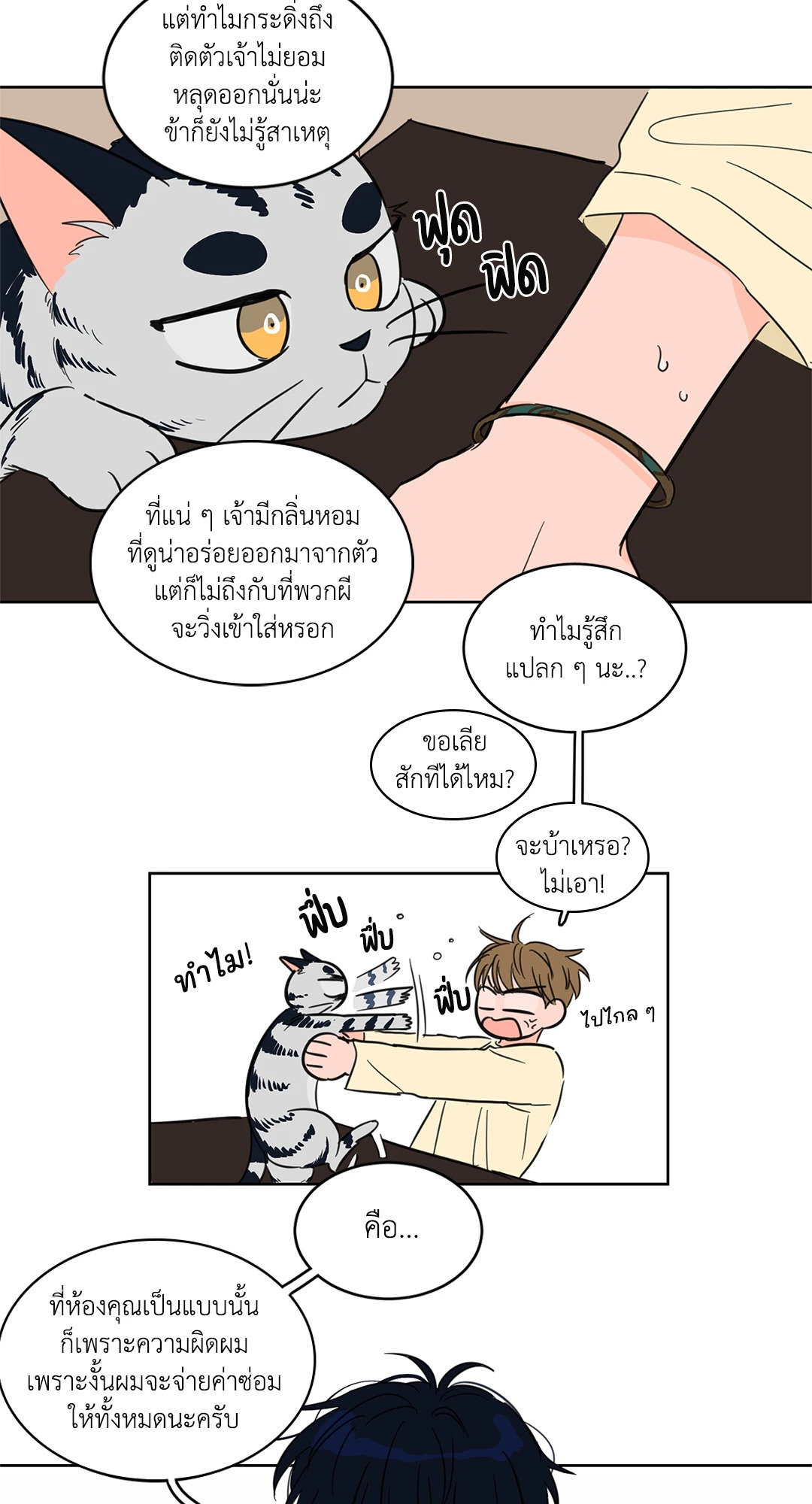 หน้า 31