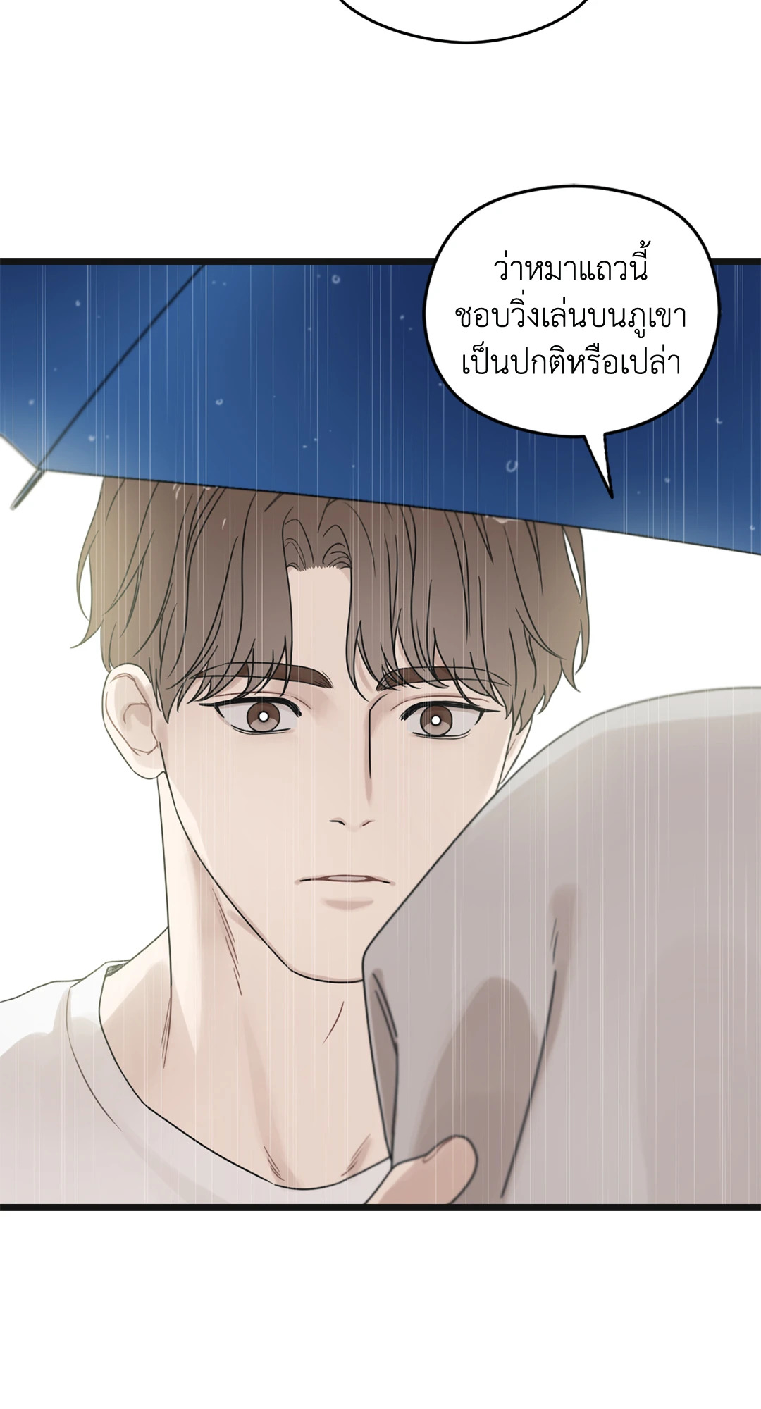 หน้า 100