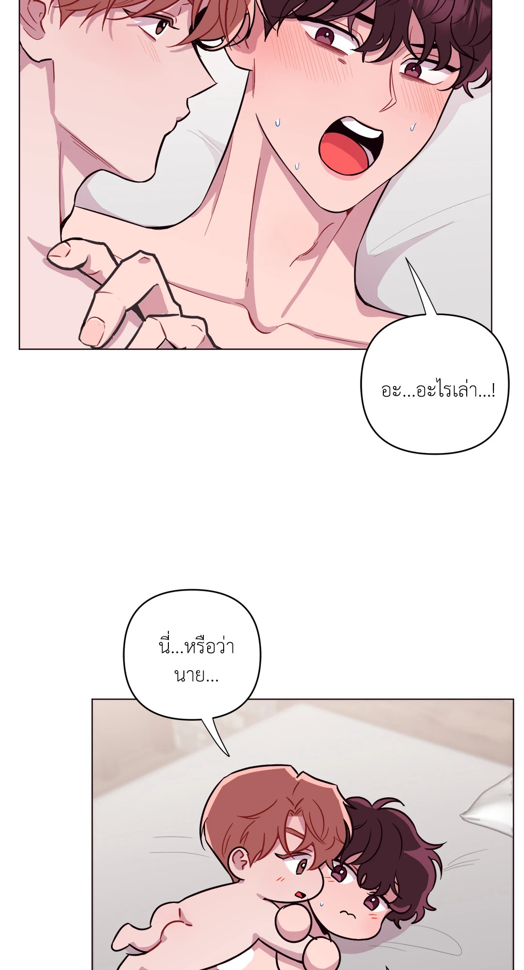 หน้า 43