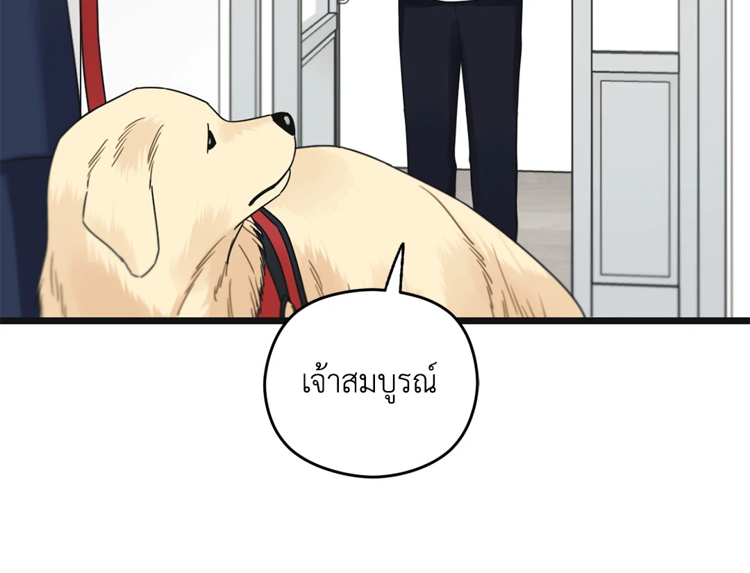 หน้า 81