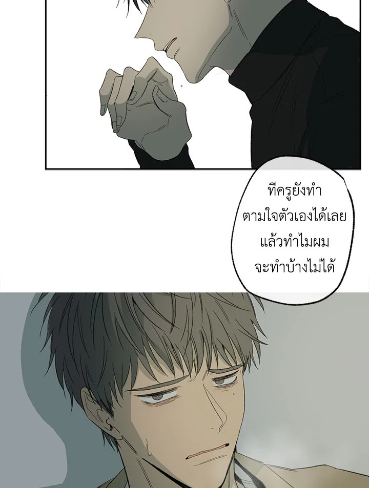 หน้า 61