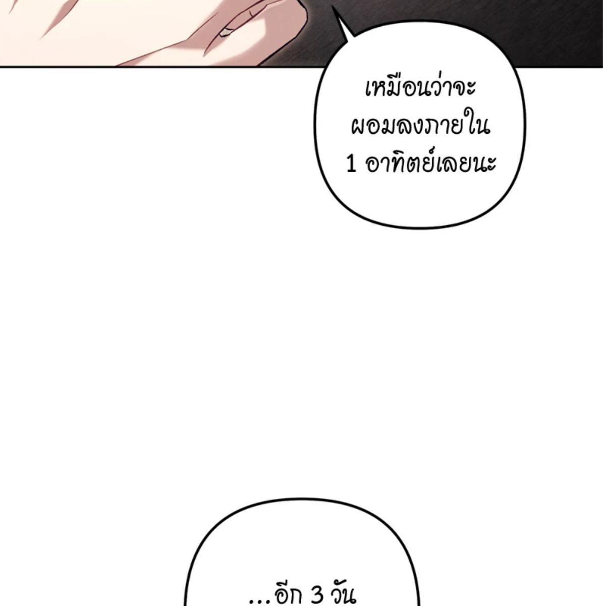หน้า 117